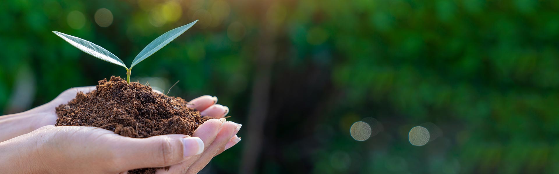 Managing Your Account