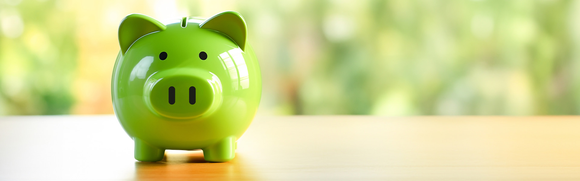 The 52 Week Savings Challenge